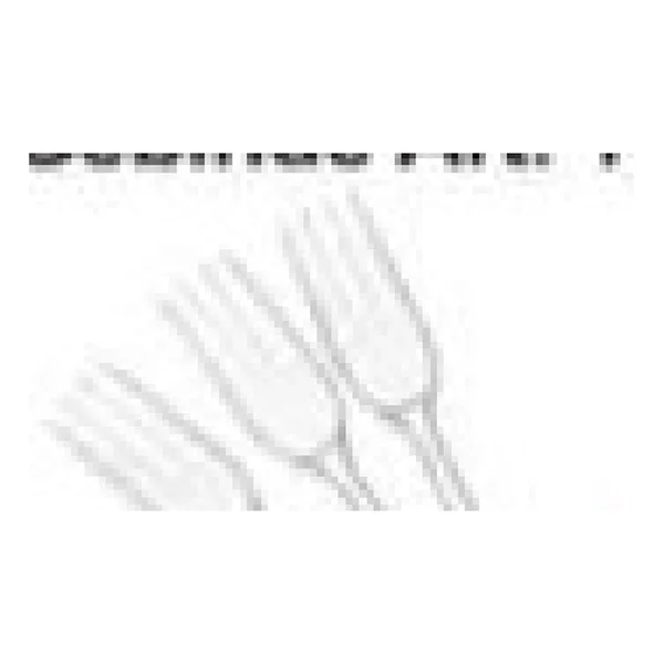 Fourchettes plastique transparent renforcé